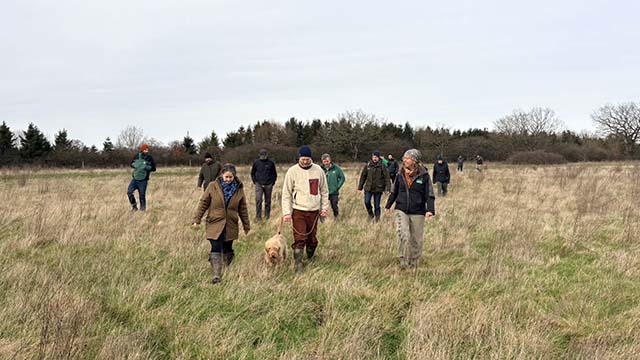 Group of people walking across field and chatting