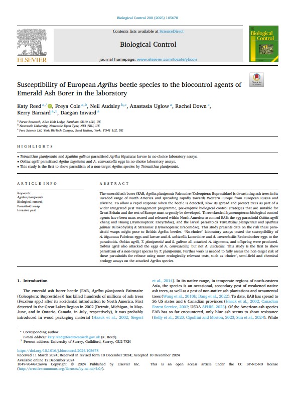 Cover of the journal article, Susceptibility of European Agrilus beetle species to the biocontrol agents of Emerald Ash Borer in the laboratory