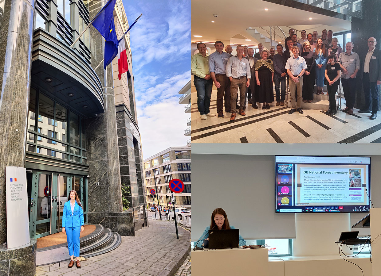 Three photos showing Chloe outside the building where the ENFIN met, at the meeting and a group photo of delegates.