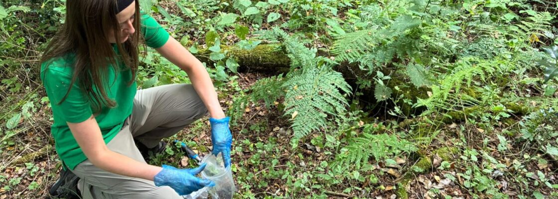 NCEA eDNA soil collecting
