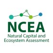 NCEA Logo