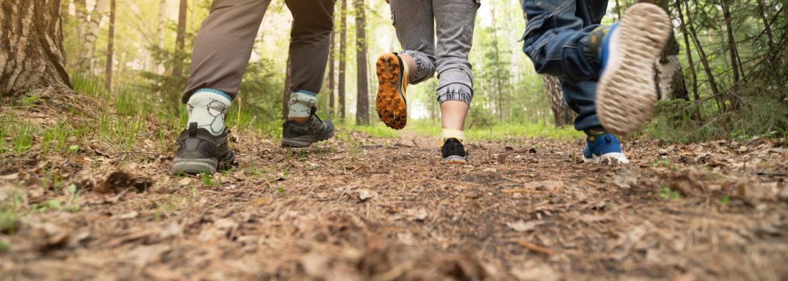 People pressure image of people's feet moving in forest