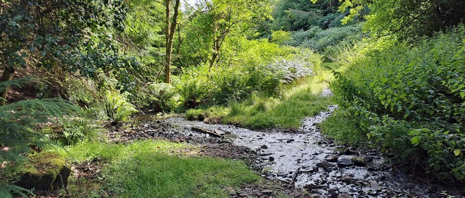 View of sample collection site (Long Combe, Minehead, Somerset)