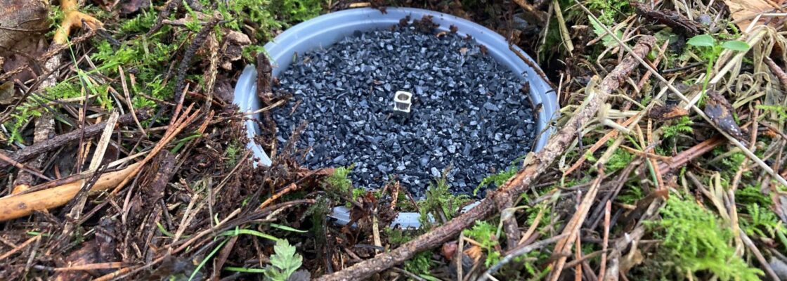 Image of acoustic pitfall trap
