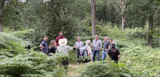 People gathered around in oak forest listening to a talk.