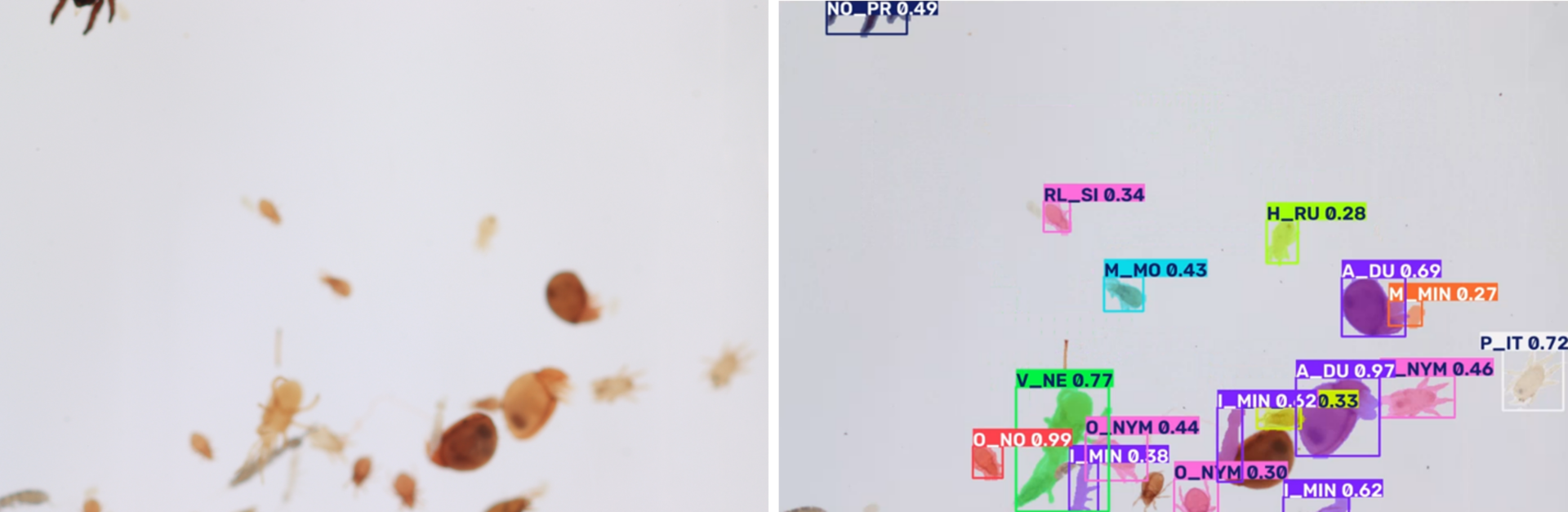 MESCOSCAN images, left original right classified