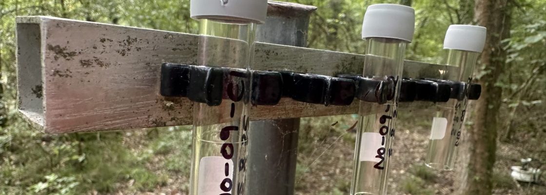 Air quality diffusion tubes at Alice Holt