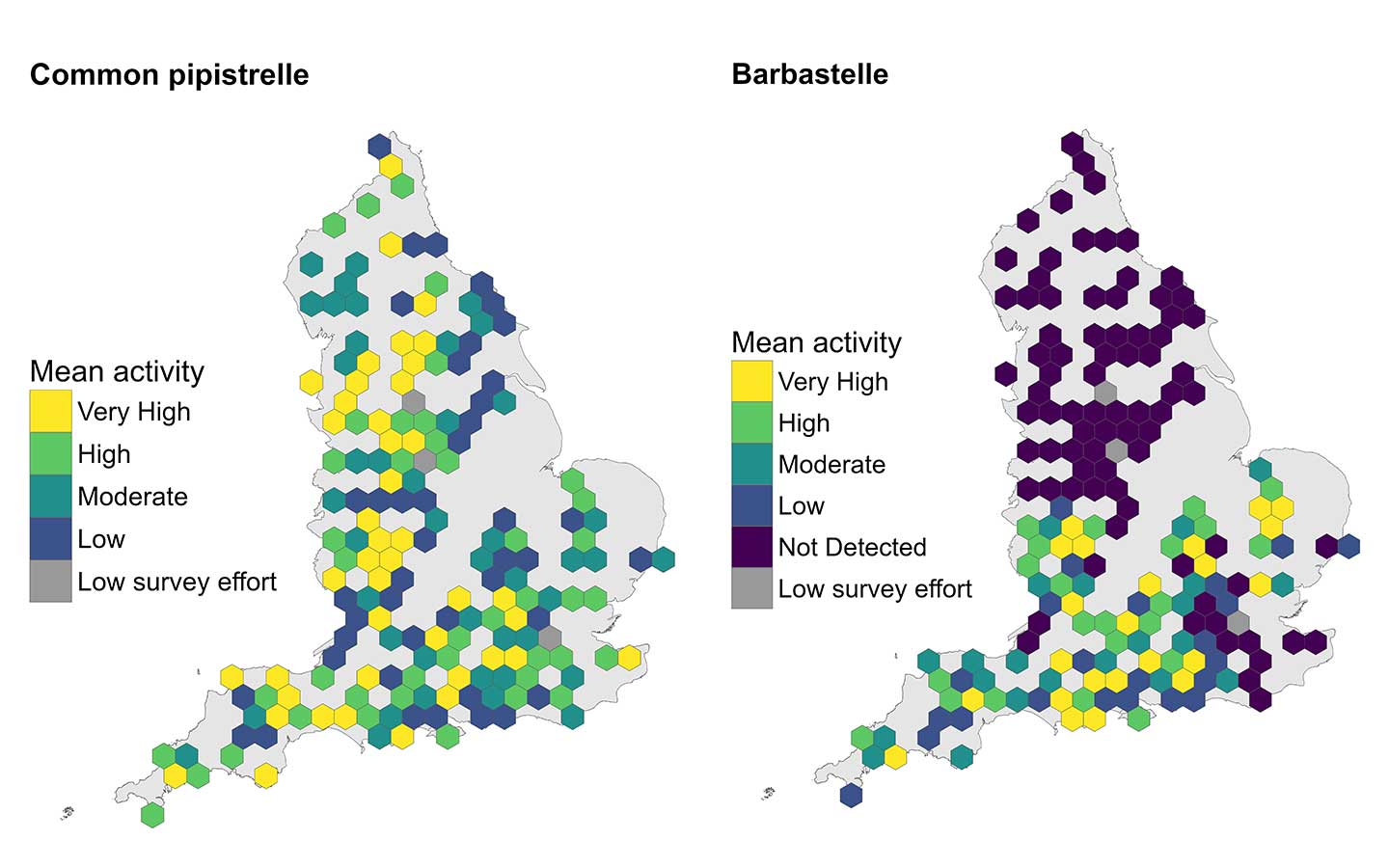 Activity hotspots for barbastelle and common pipistrelle bats recorded in the National Woodland Bat Survey.