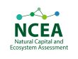 NCEA logo portrait full colour