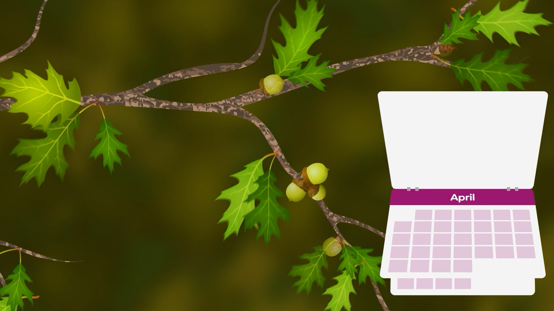 Image showing acors and leaves and a calender.